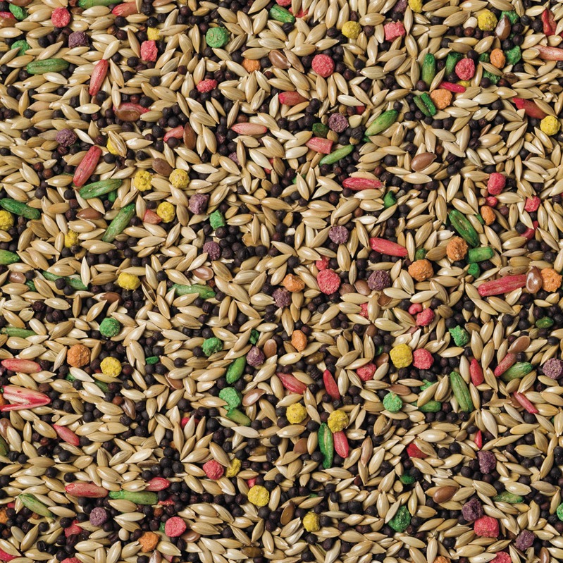 best canary seed mix